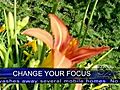 CBS 2 In Focus: Demystifying Digital Photography
