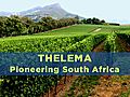 Thelema: South African Pioneer