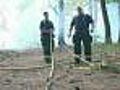 Investigators Believe Brush Fires Were Set