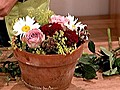 Tischdekoration mit Schnittblüten in Tontöpfchen