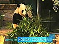 Australian Zoos