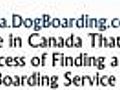 Dog Boarding Places