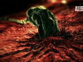 Monsters Inside Me: Hijacked Blood Cells