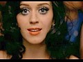 Katy Perry - Waking Up In Vegas