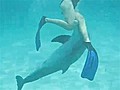 Dolphin Attracted to Swimmers Crotch