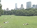 Nature’s Edge: Central Park