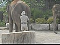 Elephant Ride Fail