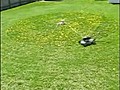 Automatic Lawn Mower