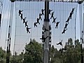 Bailarines danzaran por los aires para conmemorar independencia mexicana