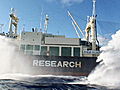 Whale Wars: Paintballing a Whaling Ship