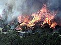 Raw Video: Wildfires Sweep Across N. Texas