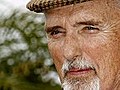 Dennis Hopper an Prostatakrebs gestorben