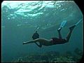 Snorkeling in Corn Island, Nicaragua (From 