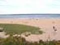 Great White Sighting Closes Chatham Harbor Beaches