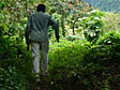 Hiking through hidden Jamaica