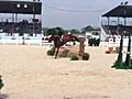 Adelberger rides in Devon Horse Show