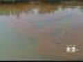 BP Documents Show Oil Spill Worse Than Thought