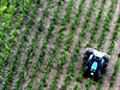 Rain washes $800m crops away