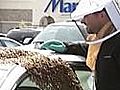 Raw Video: Bees Swarm Woman’s Car