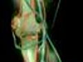 75. Dr Alkimorad Farshchian’s Orthopedic Regenerative Series: The Knee