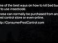 Beg Bug Control - Exterminate Bugs Fast