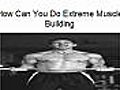 Extreme Muscle Building Program