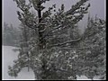 NS:NV/LAKE TAHOE SNOW