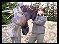 Hunting In Romania Mistret Wild Boar Wildschwein Jabali - Exyi - Ex Videos