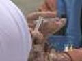Colorado Health Officials Urge Early Flu Shots