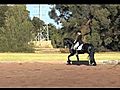 Natasha Althoff and Ebony Park Abe - Grand Prix Dressage 04/06/2011