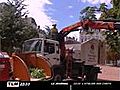 Bellecour: plainte contre les coupes d’arbres (Lyon)