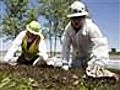 Cause of pipeline rupture under investigation