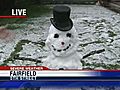 &#039;Hailman&#039; Pops Up In City