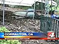 Mudslide buries house and car