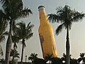 Hot-air balloon visits the Seminole Hard Rock