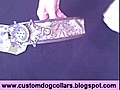 Personalized Dog Collars - Personalized Collar For Your Dog