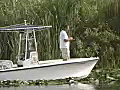 Royalty Free Stock Video SD Footage Fisherman and a Small Boat at Holiday Park in the Everglades in Florida