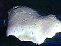 Scientists Spar Over 2036 Asteroid Apocalypse