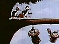 The Talking Magpies (1946)