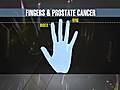 Longer index finger,  lower cancer risk