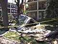 Severe storms rock Chicago