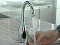 Wellspring Touchless Faucet