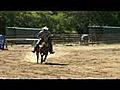 Lady- Canter Stop Center - Heeling Horse and Calf Horse Prospect