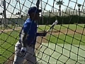 Leaders Of The Pack At Cubs Spring Training