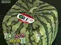 Square Watermelon