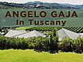 Gaja in Tuscany