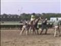 Horse forced to compete at Belmont