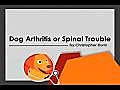 Dog Spinal Trouble