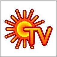 Buy Sun TV around Rs 313: Kapadia