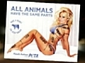 SNTV - Raunchy Pamela Advert Banned…Again